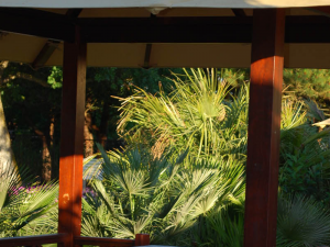 Bali Prefab and Wooden House Architect: Our Portfolio