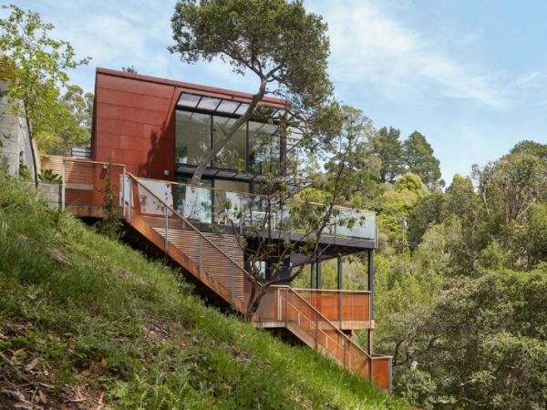 Ideas For Your Future Wooden Home