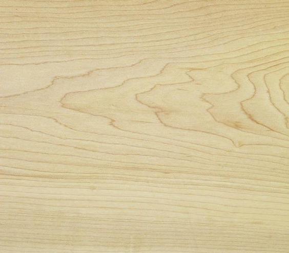 Maple Wood